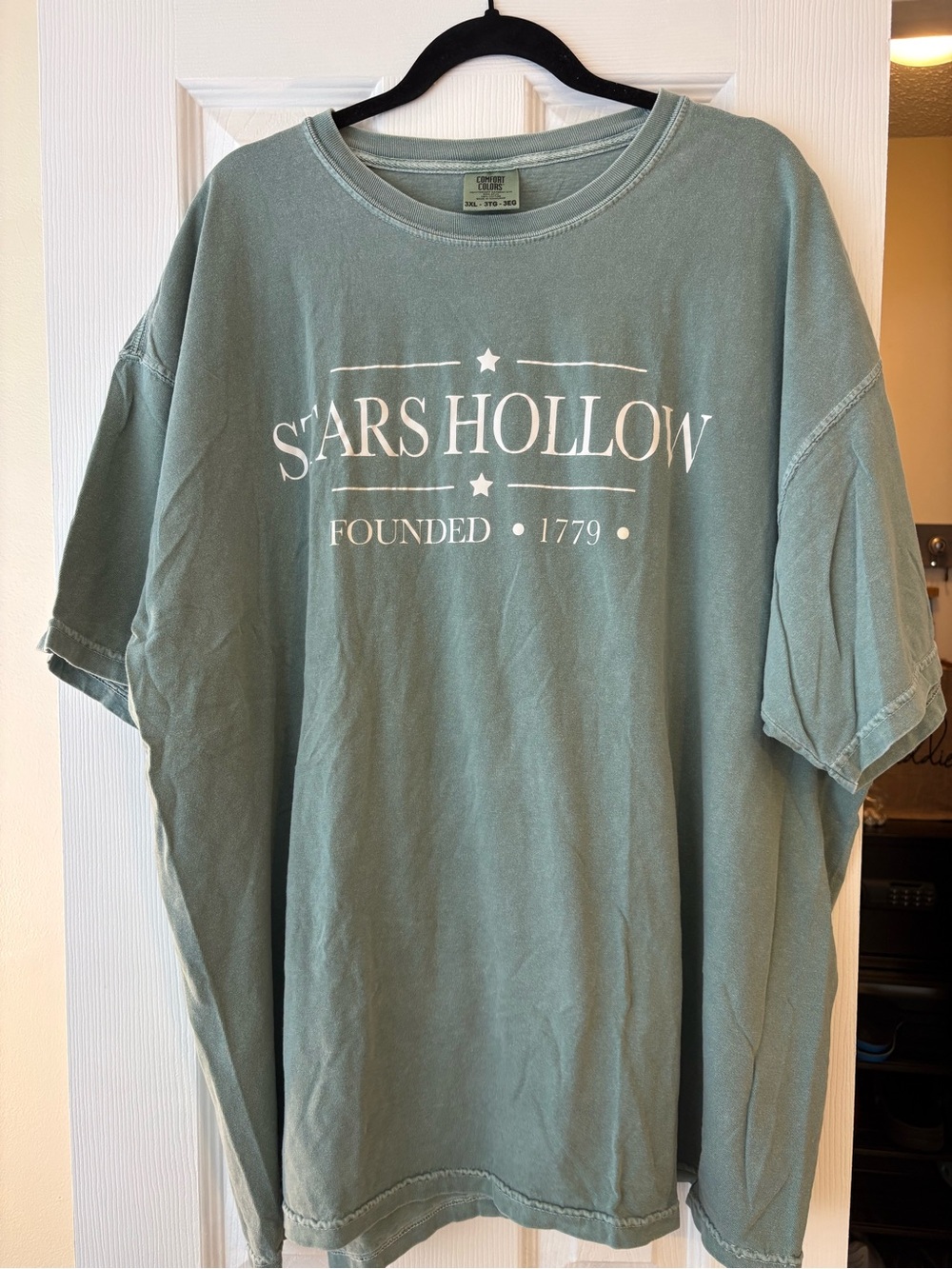 Comfort Colors Sage Green Graphic Tee with White Print